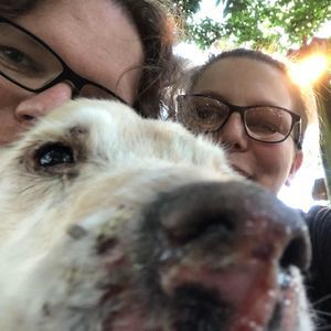 Meet your Posher, Lucia